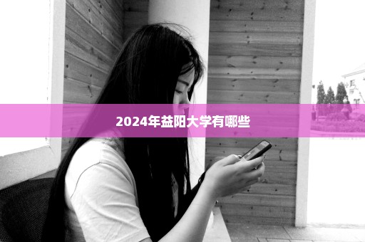 2024年益阳大学有哪些