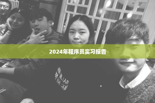 2024年程序员实习报告