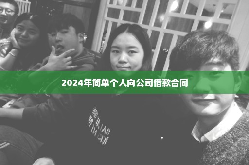 2024年简单个人向公司借款合同