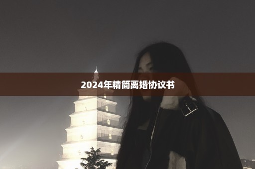 2024年精简离婚协议书