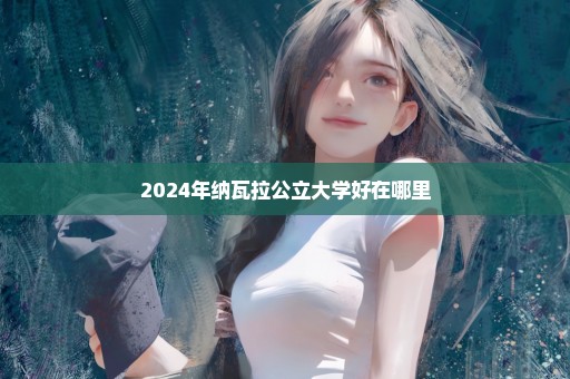 2024年纳瓦拉公立大学好在哪里