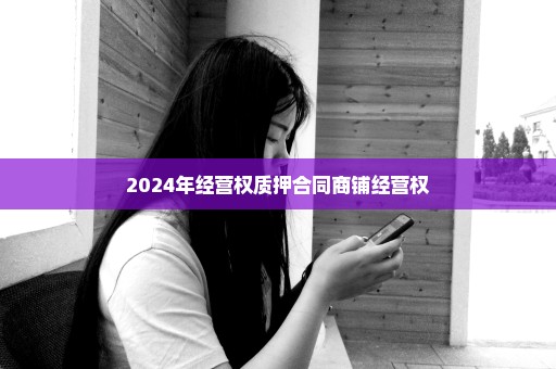 2024年经营权质押合同商铺经营权