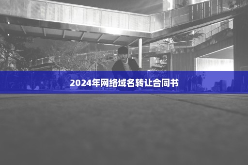 2024年网络域名转让合同书
