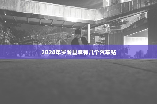 2024年罗源县城有几个汽车站