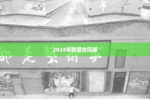 2024年联营合同版