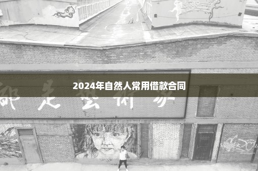2024年自然人常用借款合同