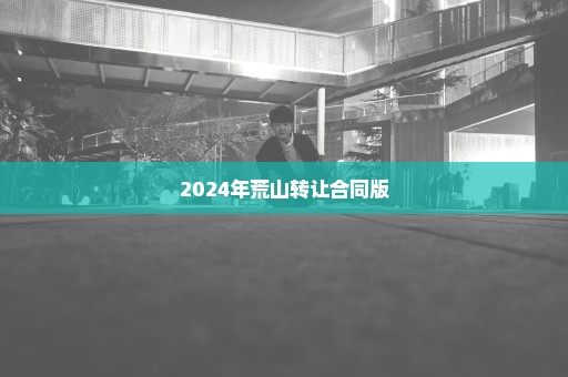 2024年荒山转让合同版
