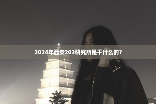 2024年西安203研究所是干什么的？