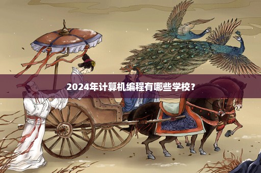 2024年计算机编程有哪些学校？
