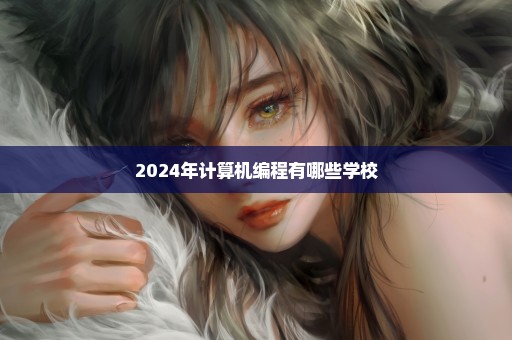 2024年计算机编程有哪些学校