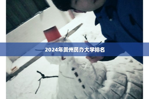 2024年贵州民办大学排名