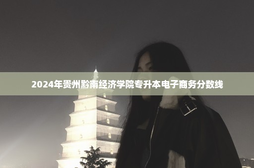 2024年贵州黔南经济学院专升本电子商务分数线