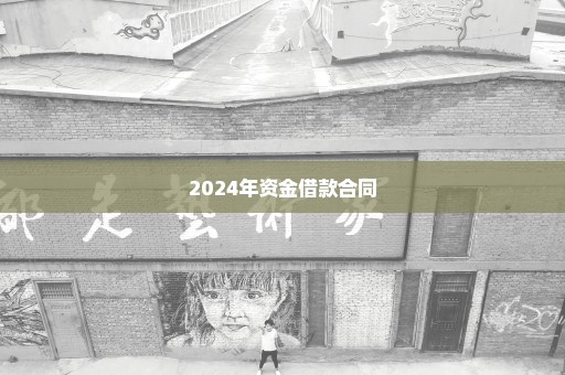 2024年资金借款合同