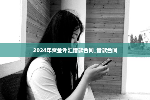 2024年资金外汇借款合同_借款合同