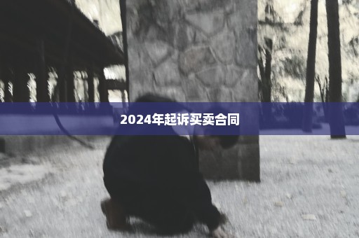2024年起诉买卖合同