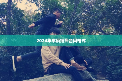 2024年车辆抵押合同格式
