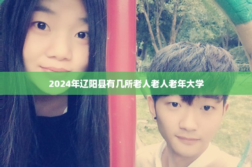 2024年辽阳县有几所老人老人老年大学