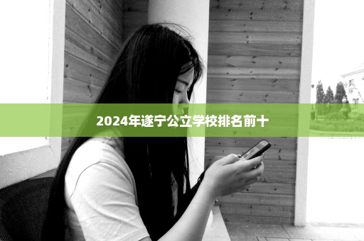2024年遂宁公立学校排名前十