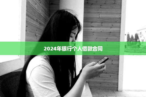 2024年银行个人借款合同
