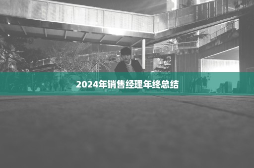 2024年销售经理年终总结