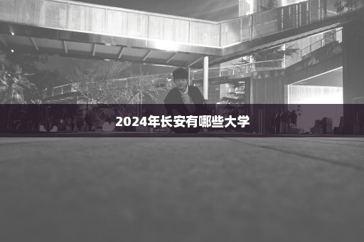 2024年长安有哪些大学