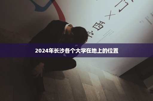 2024年长沙各个大学在地上的位置