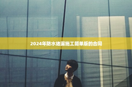 2024年防水堵漏施工简单版的合同