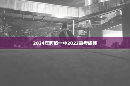 2024年阿城一中2022高考成绩