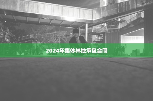 2024年集体林地承包合同