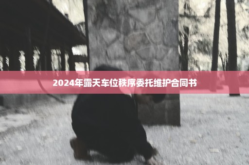 2024年露天车位秩序委托维护合同书