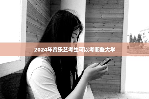 2024年音乐艺考生可以考哪些大学