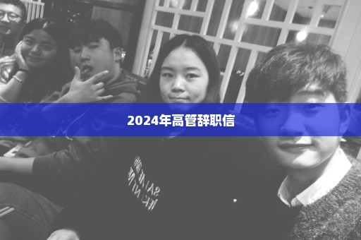 2024年高管辞职信