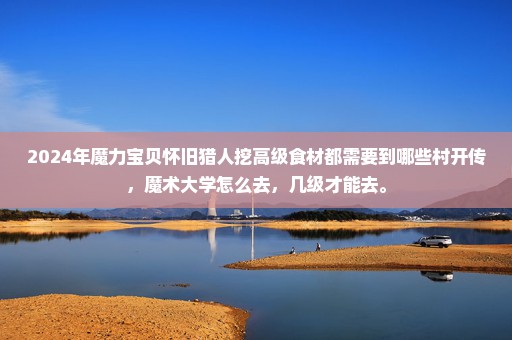 2024年魔力宝贝怀旧猎人挖高级食材都需要到哪些村开传，魔术大学怎么去，几级才能去。