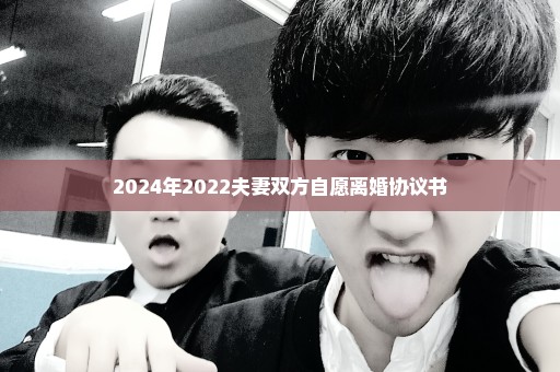2024年2022夫妻双方自愿离婚协议书
