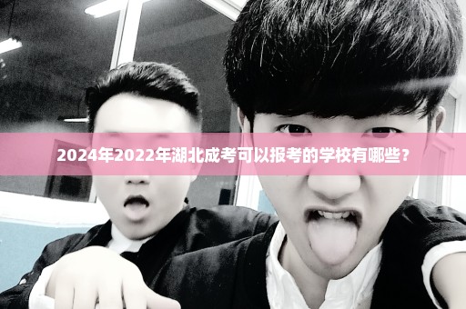 2024年2022年湖北成考可以报考的学校有哪些？