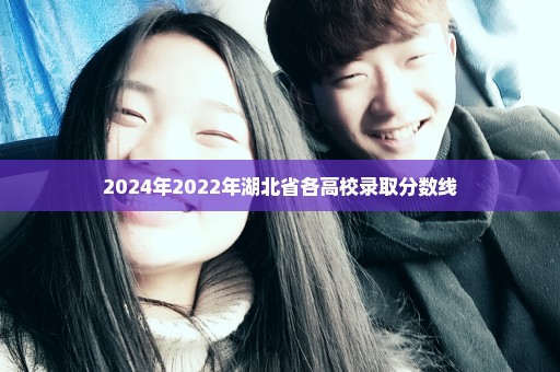 2024年2022年湖北省各高校录取分数线