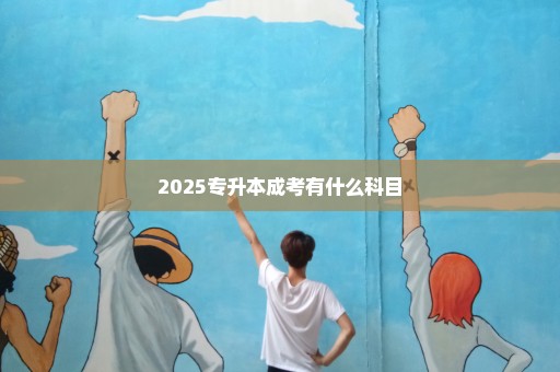 2025专升本成考有什么科目