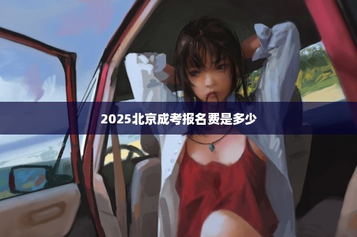 2025北京成考报名费是多少