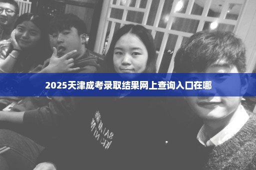 2025天津成考录取结果网上查询入口在哪
