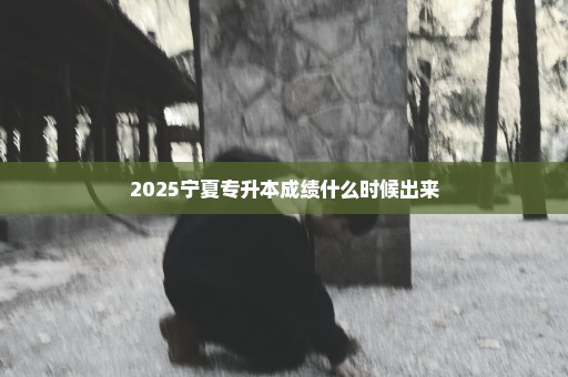 2025宁夏专升本成绩什么时候出来
