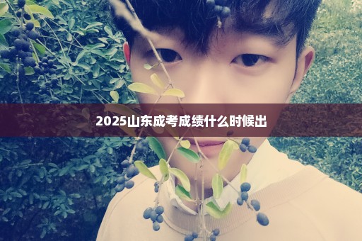 2025山东成考成绩什么时候出