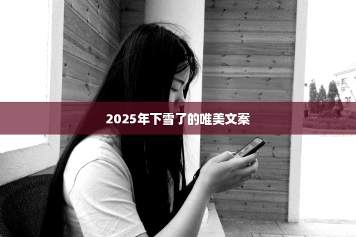 2025年下雪了的唯美文案