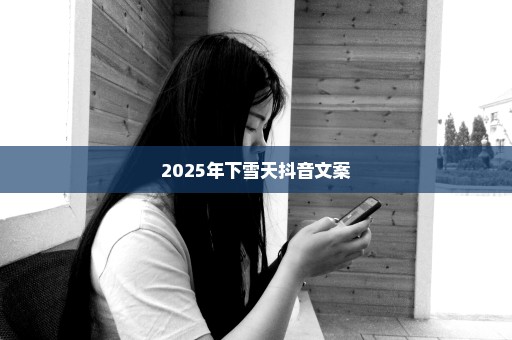 2025年下雪天抖音文案
