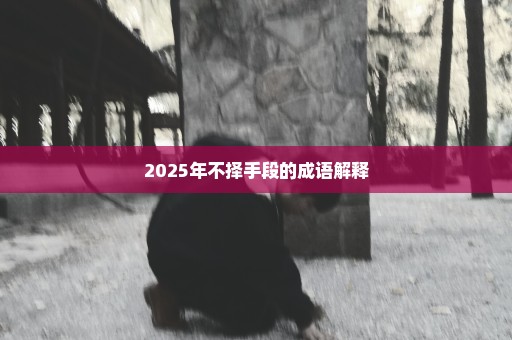 2025年不择手段的成语解释