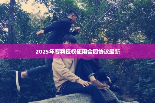 2025年专利授权使用合同协议最新