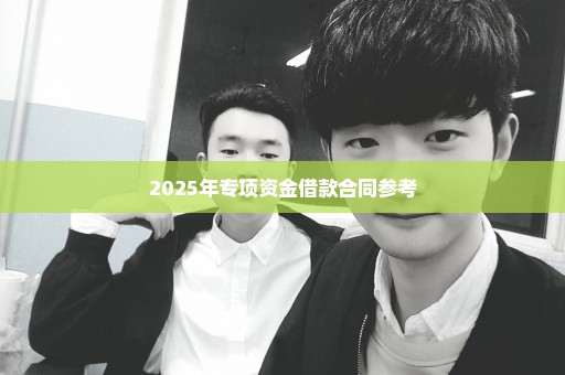 2025年专项资金借款合同参考
