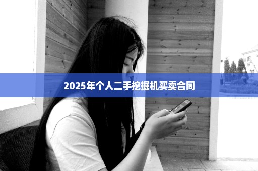 2025年个人二手挖掘机买卖合同