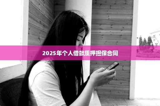 2025年个人借款质押担保合同