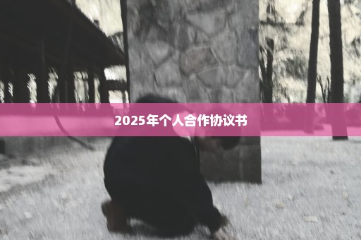 2025年个人合作协议书