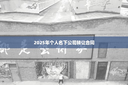 2025年个人名下公司转让合同